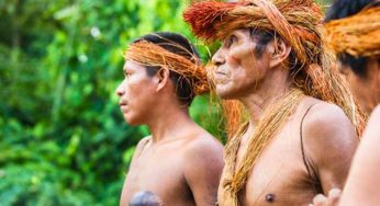 The Wari Tribe, A Ritual of Eating the Dead for Wisdom