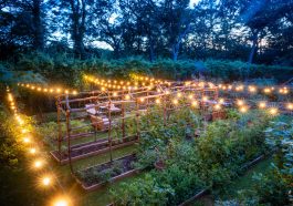 The Art of Gardening