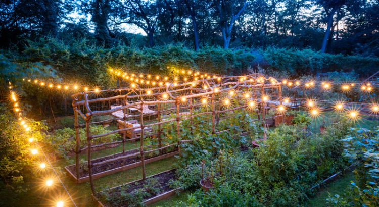 The Art of Gardening