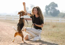 Animal Training
