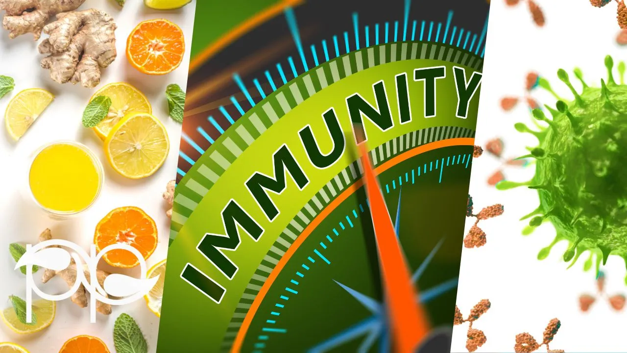 Top Natural Methods to Enhance Your Immune Health