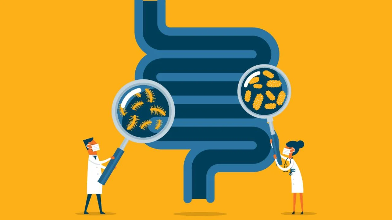 Gut Health Trends