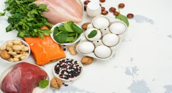 High-Protein Diets: From Bodybuilding to Everyday Nutrition