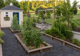 Homesteading Lifestyle