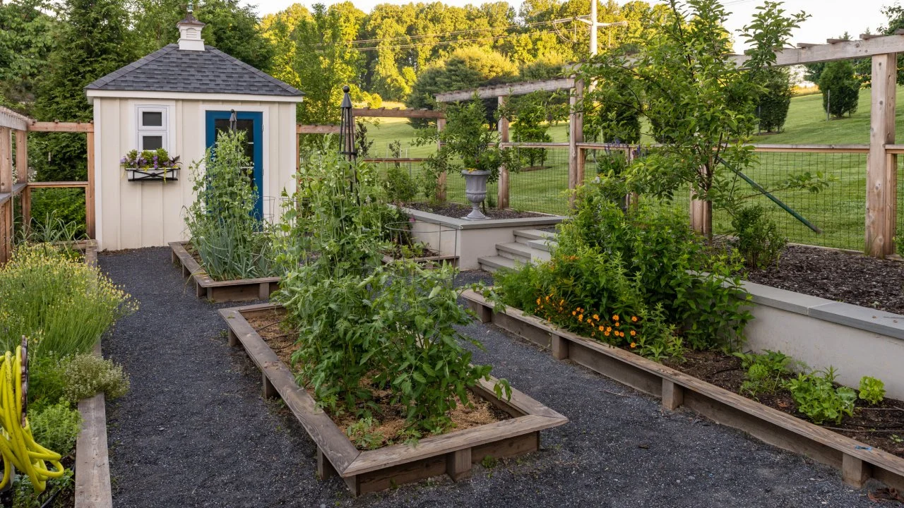 Homesteading Lifestyle