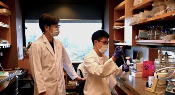 New UK Study Links Autoimmune Diseases to Higher Mental Health Risks