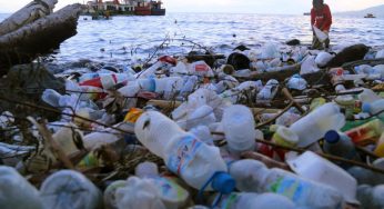 Indonesia’s Strategy to Reduce Plastic Waste: Challenges and Progress