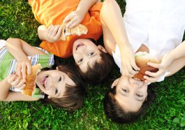 Michigan’s Summer Meals Program