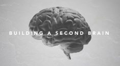 The Second Brain