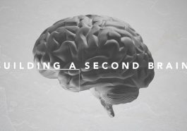 The Second Brain