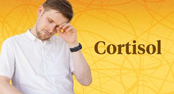 The Truth About Cortisol: Why Your Stress Hormone Might Not Be the Enemy