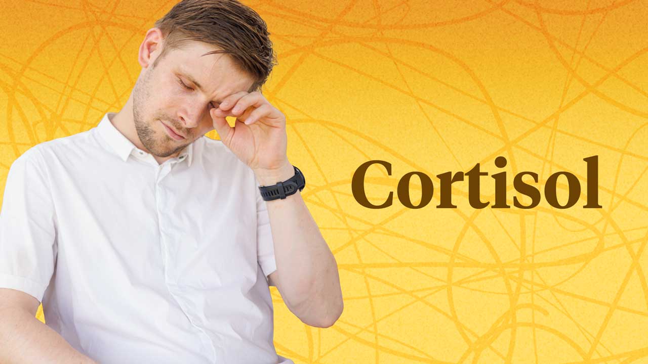 Cortisol