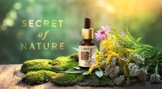 Natural Beauty Products